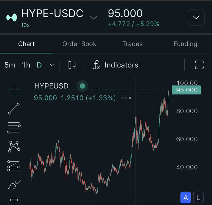 Trading chart for HYPE-USDC pair showing price at 95.000 with a 5.29% increase, displayed on a dark-themed exchange interface with daily timeframe candles.