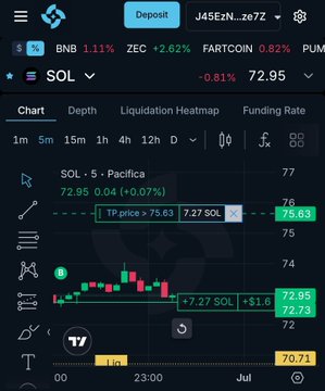 A cryptocurrency trading interface showing the SOL/SOL pair on Pacifica at 72.95, with a 1-minute candlestick chart and various market statistics.