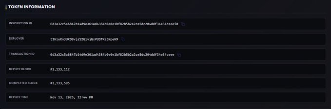 A digital interface displaying token information including an inscription ID, deployer address (t1RzaaN3U5DNb-jn52GfvjGv4USTXs3NpewN), transaction ID, deploy block (#3,133,112), completed block (#3,133,595), and deploy time of Nov 13, 2025, 12:44 PM.