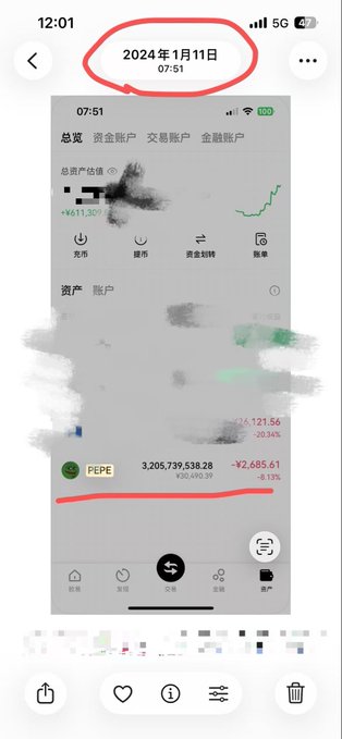 A mobile trading app screenshot dated '2024年1月11日 07:51' showing portfolio holdings, with PEPE highlighted showing a value of 3,205,739,538.28 and a -8.13% change.
