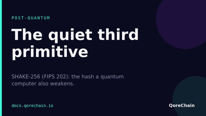 The image is a dark slide titled "The quiet third primitive" under the "Post-Quantum" category, highlighting SHAKE-256 (FIPS 202) as a hash function that quantum computers weaken, branded with "QoreChain" and "docs.qorechain.io." It visually emphasizes the often-overlooked role of hash functions in quantum readiness, supporting the post's point that skipping the hash leaves a post-quantum strategy incomplete.