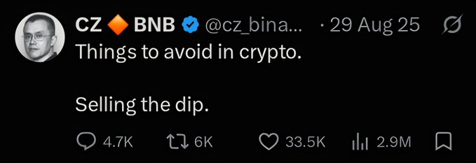 A tweet from CZ (BNB) on 29 Aug 25 states 'Things to avoid in crypto. Selling the dip.', showing 33.5K likes and 2.9M views.