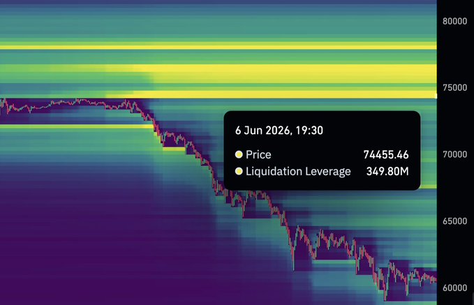 The image shows a graph of Bitcoin's price over time with a downward trend. The text at the bottom of the image reads "LIMITATION LEVERAGE", which suggests that there might be some sort of restriction or limit on the amount of money someone can invest in Bitcoin, and if this limit is reached, they will lose their investment.
