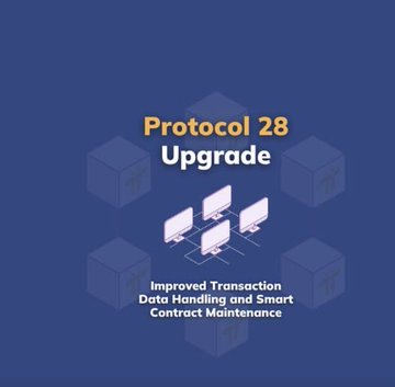A graphic on a dark blue background reads 'Protocol 28 Upgrade' with bullet points: 'Improved Transaction', 'Data Handling and Smart Contract Maintenance', accompanied by an illustration of networked computers.