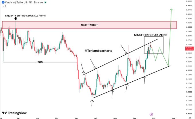 A TradingView candlestick chart for Cardano/TetherUS (ADAUSDT) on Binance, annotated with technical analysis showing an ascending channel, BOS, a 'MAKE OR BREAK ZONE' near $0.27, and a 'NEXT TARGET' liquidity zone above all highs around $0.30.