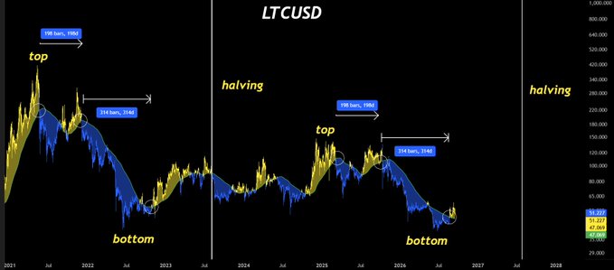 A Litecoin (LTC/USD) price chart from 2021 to 2028 annotated with 'top', 'bottom', and 'halving' markers, showing 195-bar and 194-bar cycles with predicted future price movements.