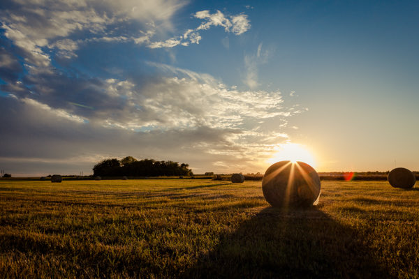 A scenic photograph of a harvested field with large round hay bales under a dramatic sunset, featuring a bright sunburst on the horizon and scattered clouds.