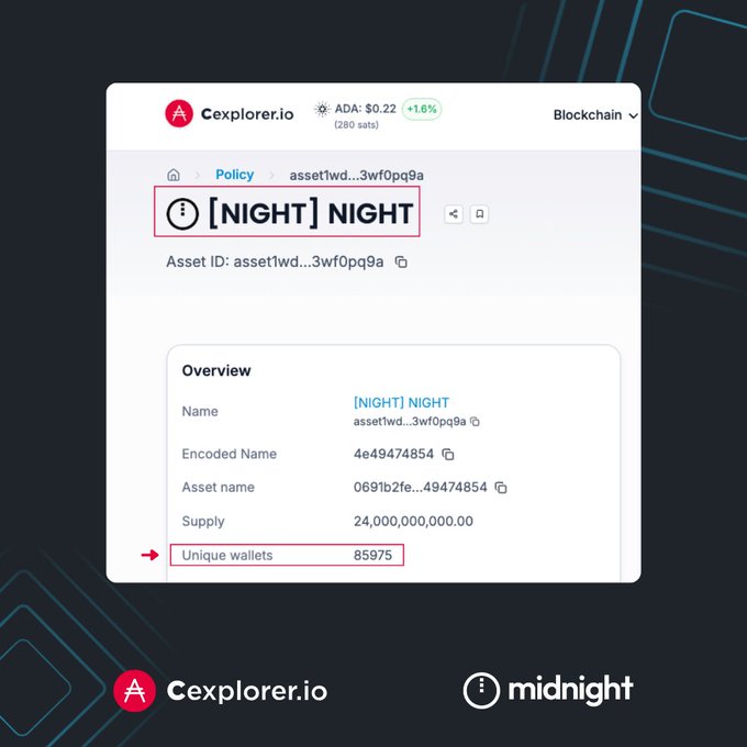 A screenshot from Cexplorer.io showing details for the token '[NIGHT] NIGHT' (Asset ID: asset1wd...3wf0pq9a) with a supply of 24,000,000,000.00 and 85,975 unique wallets highlighted with a red box.