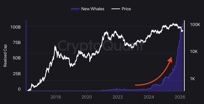A CryptoQuant graph tracking Bitcoin from 2017 to 2026 shows the number of new whales (blue area) surging dramatically upward in 2025-2026, coinciding with BTC's price (white line) reaching new highs near 100K, as highlighted by a red arrow illustrating the aggressive accumulation trend described in the post.