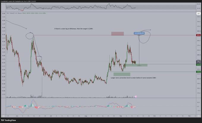 A TradingView chart of $TAO/USD on Binance is annotated with a target zone labeled "next target is $300+" and a note stating "Longer term correction level to enter before it turns towards 2300+," illustrating the altcoin's key support and upside price levels referenced in the analysis.
