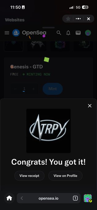 A mobile screenshot of OpenSea showing a successful NFT mint with the text 'Congrats! You got it!' and 'opensea.io' at the bottom.