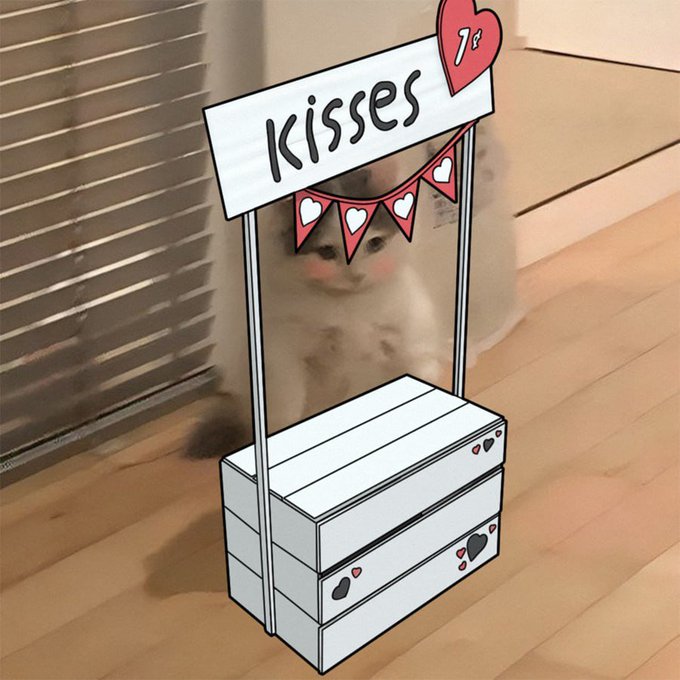 A cute cat stands behind a hand-drawn cardboard 'kisses' stand decorated with heart bunting and '1€' pricing, with pink cheeks added via filter.