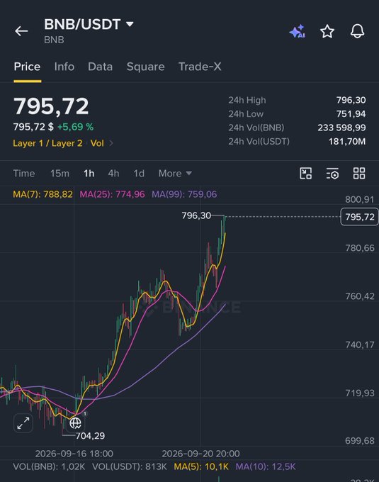 A Binance price chart for BNB/USDT showing a price of 795.72, up 5.69%, with 24h high of 796.30 and 24h low of 751.94.