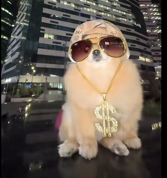 A fluffy dog dressed in flashy accessories — a beige Louis Vuitton-patterned cap, oversized gold-rimmed sunglasses, and a chunky gold chain with a sparkling dollar sign pendant — poses against a backdrop of illuminated city skyscrapers. The image's ostentatious "bling" aesthetic ties into the post's offer, which promises to send 1 SOL to 10 randomly selected active commenters who drop their addresses, channeling a streetwear/luxury giveaway vibe.