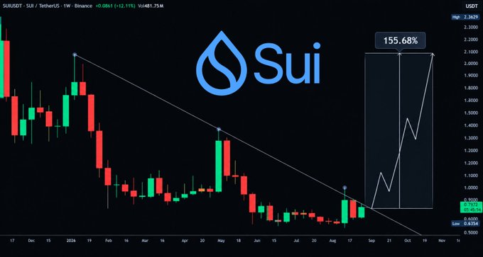 A financial candlestick chart for 'SUI/USDT' on Binance showing price action in TetherUS, with a highlighted projection indicating a potential 155.68% upward price movement.