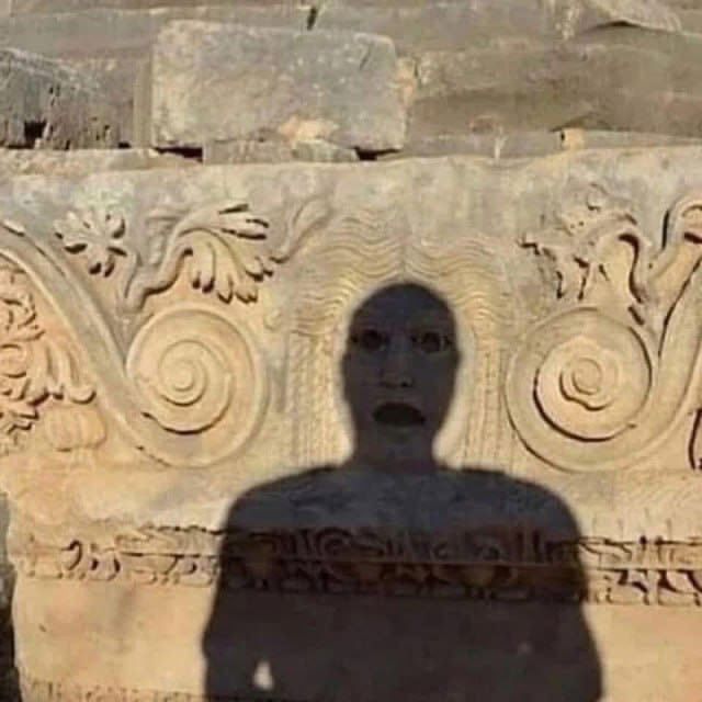 A person's shadow is cast onto an ornately carved stone architectural detail featuring classical floral and scroll motifs.