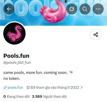 A Twitter/X profile page for @pools.fun showing their pink flamingo logo, bio reading "same pools, more fun. coming soon. no token.", with 3,589 followers and a join date of September 2022.