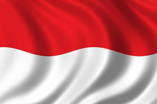 A digitally rendered waving flag with horizontal red and white stripes fills the frame. The image does not contain any visible text or numbers and appears unrelated to the accompanying post about AI profiles, certification, and decentralized governance.