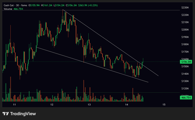 A TradingView candlestick chart of Cash Cat ($CASHCAT) shows a descending wedge pattern forming between approximately $130M and $220M over days 11-14, with price breaking above the upper trendline near $156.3M on relatively light volume of 466.75K—suggesting a potential breakout pending confirmation from increased volume.