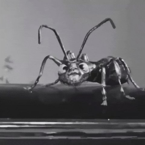 The image features an ant with its legs spread out, sitting on top of a book that has been partially covered by another book. The ant appears to be crawling across the cover of the book, creating a sense of movement and interaction between the two books. This scene is related to the post because it highlights how the squeeze feature can benefit from forced covering and momentum flows in the context of an ant crawling on top of a book.