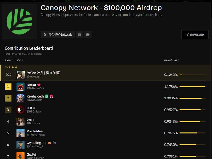 The image displays the Canopy Network $100,000 Airdrop contribution leaderboard, showing the user "YeFan 叶凡 (@yaoyacgm)" ranked 302nd with 0.1243% mindshare, trailing far behind top contributors like Nessa (1.1786%), Kevihaiceth (1.0006%), and HBO (0.9527%). This visually corroborates the caption's concern about being competitive in the airdrop race, as the user nears falling outside the reward tier while competing against the Canopy Network (CNPY), a platform enabling low-cost Layer 1 blockchain deployment.