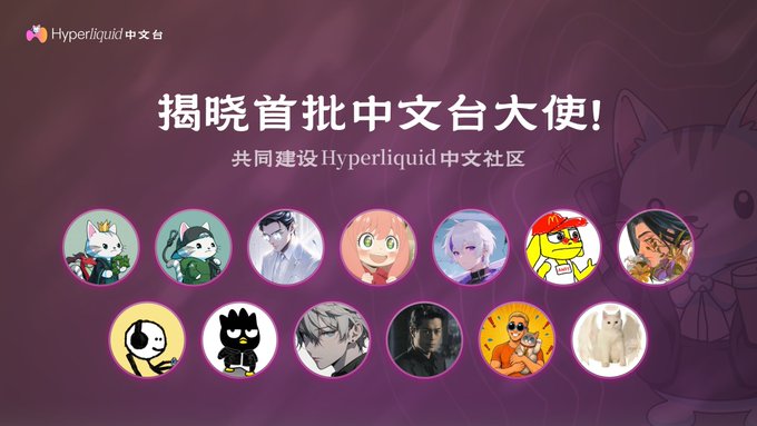 A promotional graphic from Hyperliquid's Chinese community announcing the official unveiling of the first batch of ambassadors, featuring the "Hyperliquid中文台" logo and the headline "揭晓首批中文台大使！共同建设Hyperliquid中文社区" (Revealing the first batch of Chinese community ambassadors! Building the Hyperliquid Chinese community together), with 13 circular avatar portraits displayed below showcasing the appointed co-building ambassadors, aligning with the post's announcement of 13 selected ambassadors for the program.