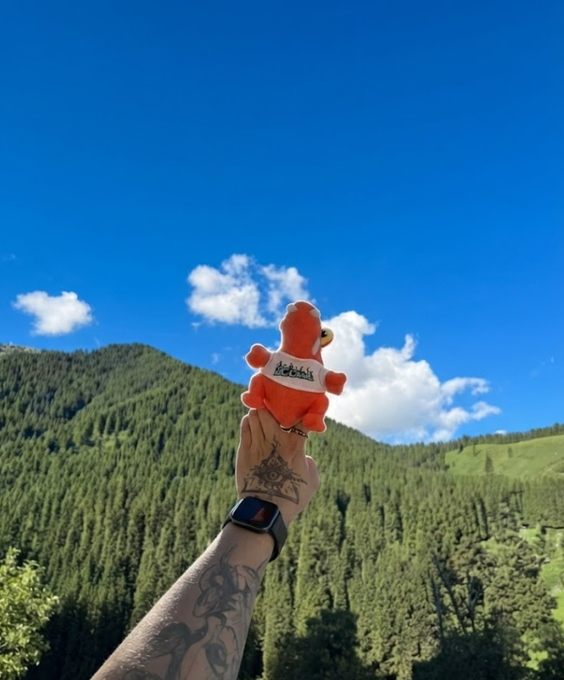 The image features a person's hand holding an orange stuffed animal, possibly a teddy bear or a toy dinosaur, with the name "Buddhism" written on its back. The background of the photo shows a beautiful mountain landscape under a blue sky dotted with white clouds. The text in the post reads: "GM @bcgame Spain can'T kick past Buddha's feet Portugal can'T bite through Gang'S fruit nice". This message seems to be related to the person holding the stuffed animal, possibly as a playful or humorous reference to Buddhism and its followers.

The image captures an interesting juxtaposition of the person's hand with the stuffed animal against the backdrop of the mountain landscape. The person's tattooed arm adds a personal touch to the scene, making it even more unique and intriguing.