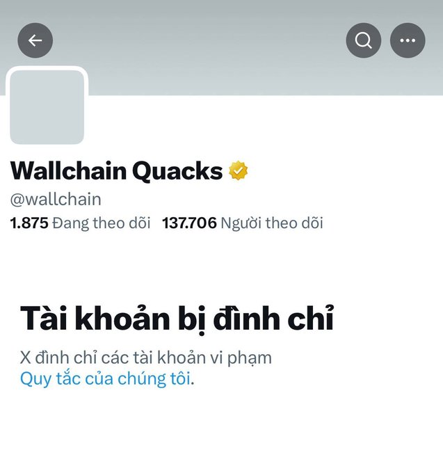 A Twitter/X profile page for Wallchain Quacks (@wallchain) with a verified checkmark, showing 1,875 following and 137,706 followers, with a message indicating the account is suspended ('Tài khoản bị đình chỉ') for violating platform rules.