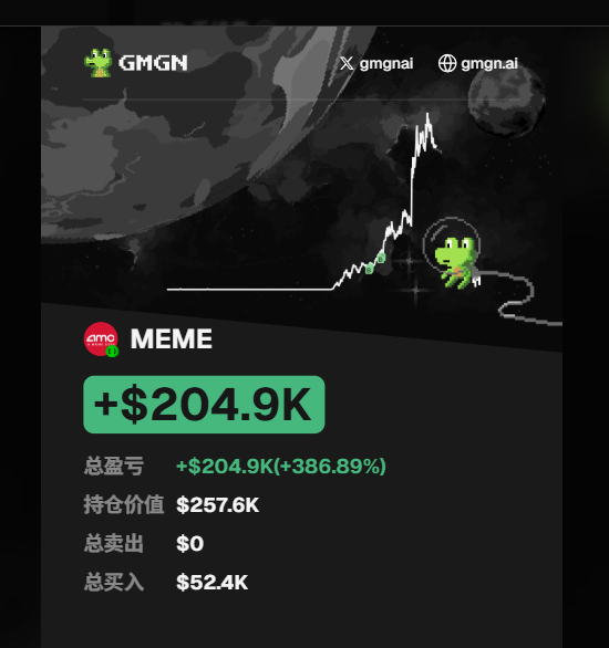 A GMGN portfolio tracker displays a meme coin investment on BSC showing a profit of +$204.9K (+386.89%) with a current holding value of $257.6K from $52.4K invested and $0 sold. The image illustrates the poster's frustration about buying too little too late, while celebrating the substantial unrealized gains on the MEME token.
