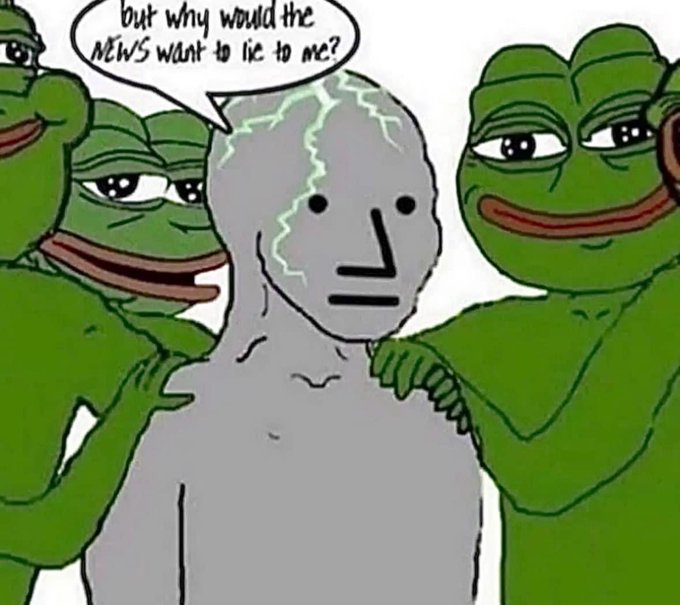 A meme featuring a gray figure with a confused expression being held by two green Pepe the Frog characters, with a speech bubble asking 'but why would the NEWS want to lie to me?'