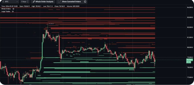 A BTC (Bitcoin) 1-hour candlestick chart showing whale order analysis with price around $78,569 and cascading orders extending above and below.