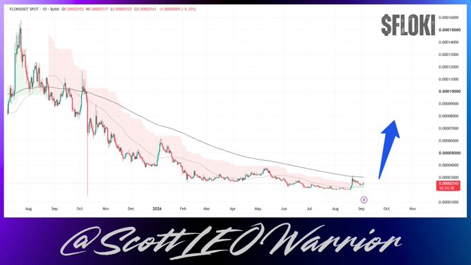 A candlestick chart of $FLOKI on a daily timeframe shows a prolonged downtrend from late 2023 through August 2024, with the price bottoming near $0.0000120 and a prominent blue upward arrow signaling anticipated reversal. The chart is credited to "@ScottLEOWarrior," aligning with the post's message that FLOKI is starting to show signs of renewed momentum after a long quiet period.