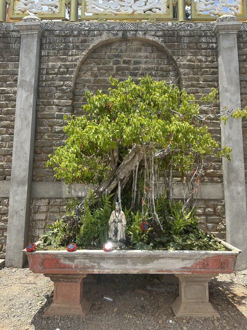 A photograph of a stone planter containing a bonsai-style tree with hanging roots and a small white Buddha statue at its base, set against an arched brick wall with ornate decorative panels above.