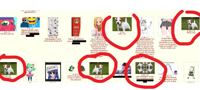 A screenshot of a grid of Pinterest-style image thumbnails, with several featuring a white and brown dog circled in red marker.