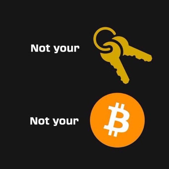 A black-background image showing "Not your keys" next to two gold keys and "Not your" next to the orange Bitcoin logo, playing on the crypto phrase "Not your keys, not your coins."