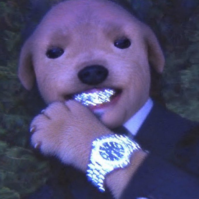 A poorly rendered image of a golden retriever puppy in a suit wearing a large, glittering silver watch and holding a silver object in its mouth.