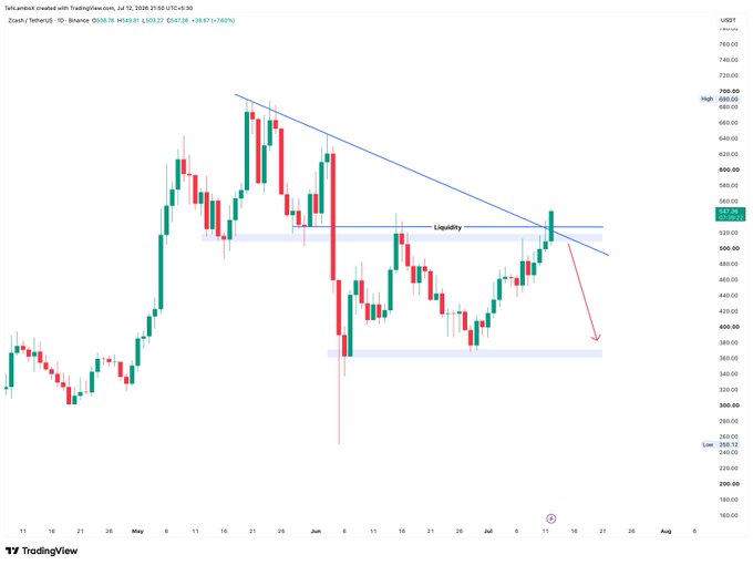 A TradingView daily candlestick chart of Zcash/TetherUS (ZECUSDT) on Binance, showing a downtrend line, a 'Liquidity' zone, and a red arrow pointing downward.