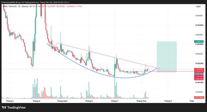 A TradingView chart displays the NOM/TetherUS pair on Binance in a daily timeframe, with the price hovering around 0.0016-0.0018 USDT as of November 8, 2025, showing a descending price pattern with a curved support line and a highlighted green projection zone on the right side suggesting potential upside. The image supports a Vietnamese post warning about Nomina (NOM), a small-cap cryptocurrency with a circulating market cap of $4.86M and 24-hour volume of $6.16M, highlighting the high risk of potential delisting from Binance.