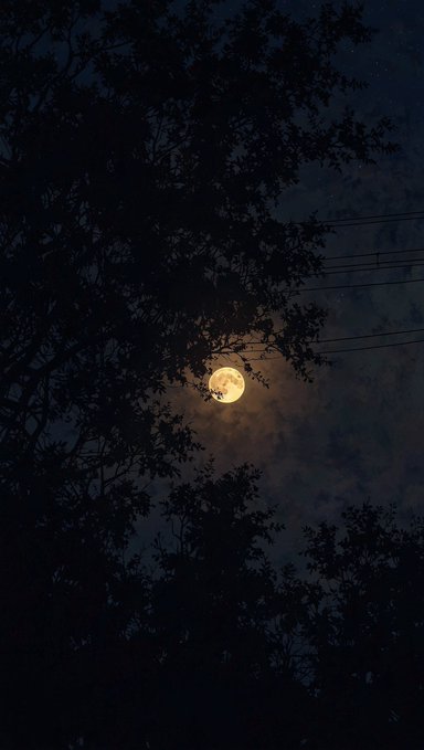 A nighttime photograph of a bright full moon glowing through clouds and silhouetted tree branches, with faint power lines visible in the dark sky.