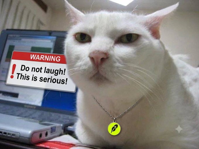 A white cat with a serious expression wearing a chain necklace with a yellow pendant, sitting in front of a laptop with a warning label that reads 'WARNING: Do not laugh! This is serious!'.