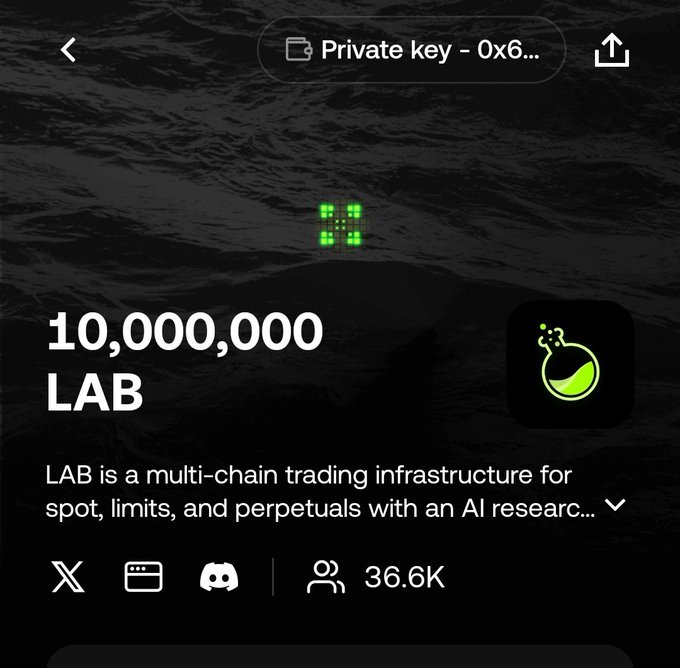 The text of the image displays the details about an auction for the private key to the lab wallet app, which allows users to buy or sell laboratory tokens (LAB) and participate in research funding opportunities. The auction is scheduled to take place on January 1st at 00:00 in the United States. The starting price for the lab token is listed as $190M, but there is no indication of a total value, only a bid price. This auction offers limited-time rewards up to $500+ and is currently open to the public.