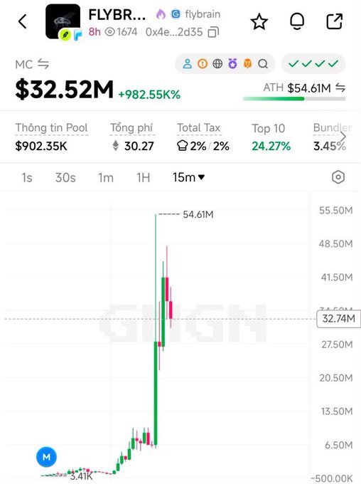 A screenshot of a crypto trading chart showing the token "FLYBR..." (flybrain) with a market cap of $32.52M, up 982.55%, displaying a dramatic price spike.