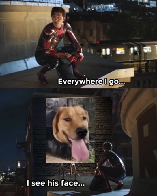 A two-panel meme featuring Spider-Man from a movie, with text reading "Everywhere I go... I see his face..." overlaid on a photoshopped image of a Labrador retriever on a billboard.