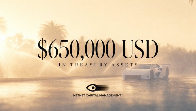A promotional banner showing '$650,000 USD IN TREASURY ASSETS' from NetNet Capital Management, featuring a white sports car in a desert setting.