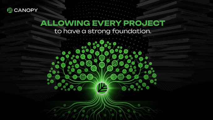 A promotional graphic for Canopy featuring a glowing green tree illustration over a dark background of stacked books, with text reading 'ALLOWING EVERY PROJECT to have a strong foundation.'