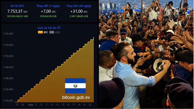 A dashboard displays BTC holdings of 7,753.37 (worth $597,056,340.31 USD) alongside a rising chart and the El Salvador flag (bitcoin.gob.sv), next to an image of President Nayib Bukele greeting a crowd.