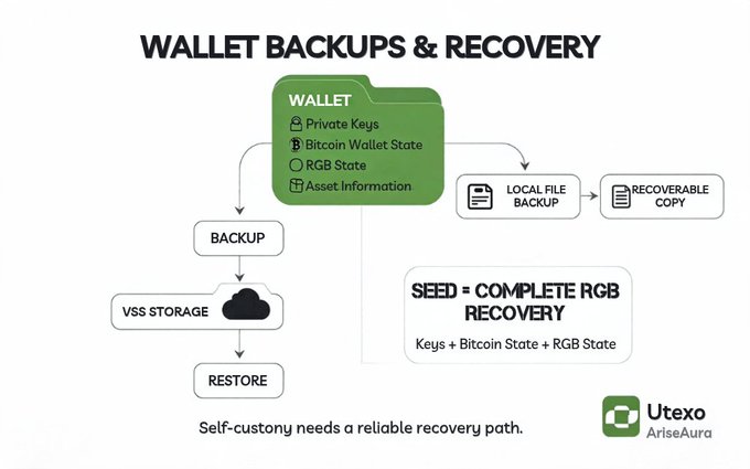 An infographic titled 'WALLET BACKUPS & RECOVERY' by Utexo showing wallet components (Private Keys, Bitcoin Wallet State, RGB State, Asset Information) flowing to VSS Storage backup/restore and Local File Backup pathways.