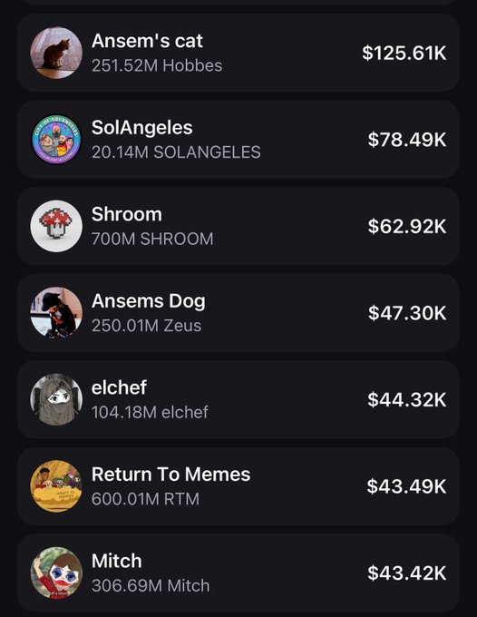 Cryptocurrency wallet rankings list showing Ansem's cat ($125.61K), SolAngeles ($78.49K), Shroom ($62.92K), Ansems Dog ($47.30K), elchef ($44.32K), Return To Memes ($43.49K), and Mitch ($43.42K).