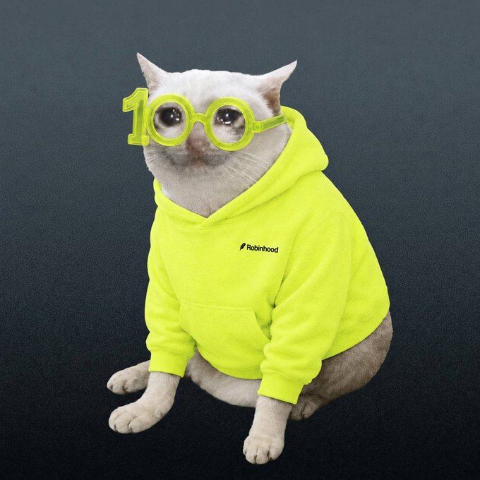 A white hairless cat wearing neon yellow-green '1' shaped glasses and a matching Robinhood hoodie sits against a dark gray background.