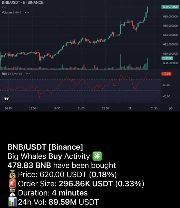 TradingView 5-minute BNB/USDT chart from Binance showing an uptrend toward 620.07, with an alert notification indicating 'Big Whales Buy Activity' of 478.83 BNB purchased at 620.00 USDT (0.18%), order size 296.86K USDT, duration 4 minutes, and 24h volume of 89.59M USDT.